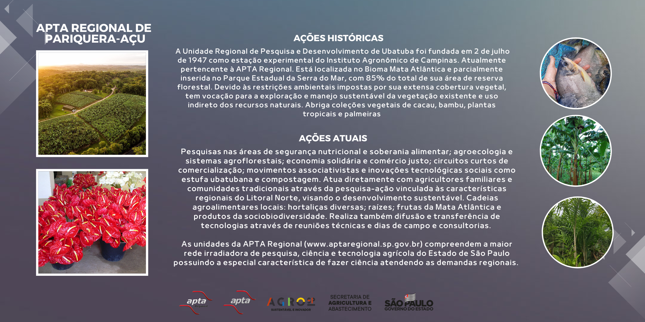 APTA REGIONAL DE PARIQUERA-AÇU